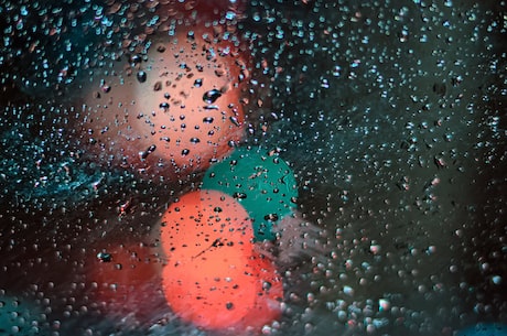 张雨绮综艺(张雨绮综艺盛行,成为热门话题)