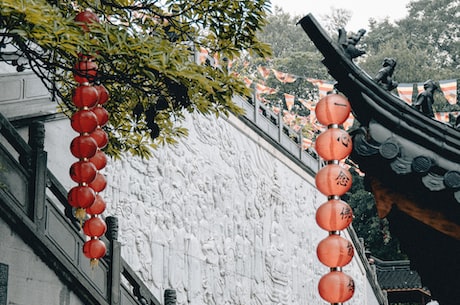 每年桃花开的时候我就会想起一个人 很喜欢桃花