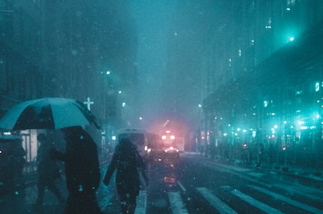 巨伞下的城市(巨伞下的城市——梅雨季节的城市探秘)