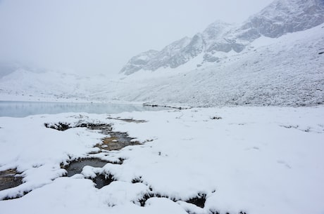 建兰小桃红(建兰小桃红:桂林山水甲天下的最美景色)