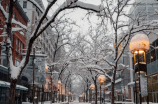 缤纷雪景，冬季的童话世界