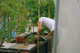 探秘郦道元思想传承
