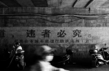 武夷山国家公园(武夷山国家公园：大自然的鬼斧神工)