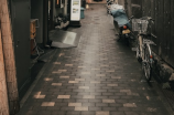 纲手的通灵兽(纲手的通灵兽之谜揭秘)